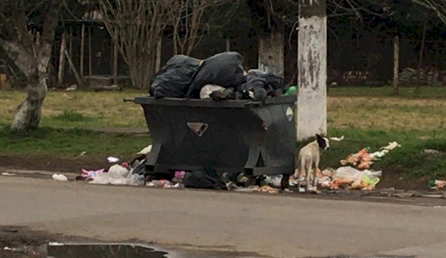 Vecinos de Abasto piden recolección de residuos