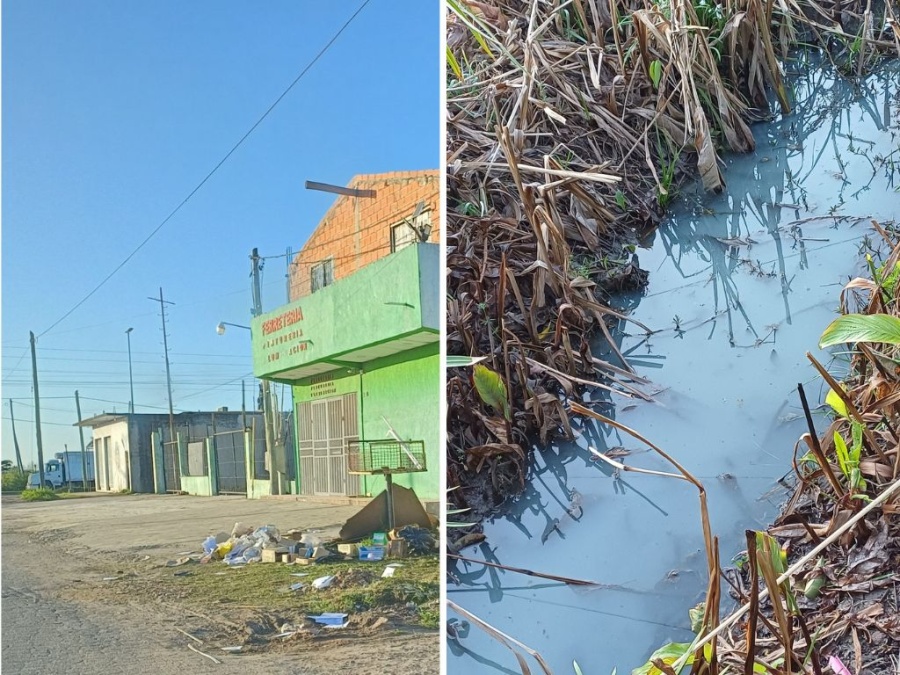 La presencia de agua con jabón en las zanjas de una zona de Abasto genera malestar en el barrio