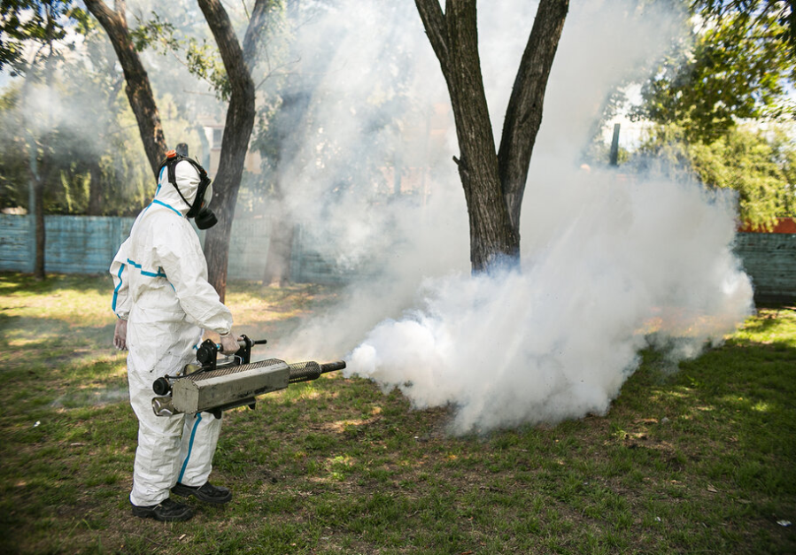 Los mosquitos no descansan en La Plata y así será la fumigación de este martes en 14 calles