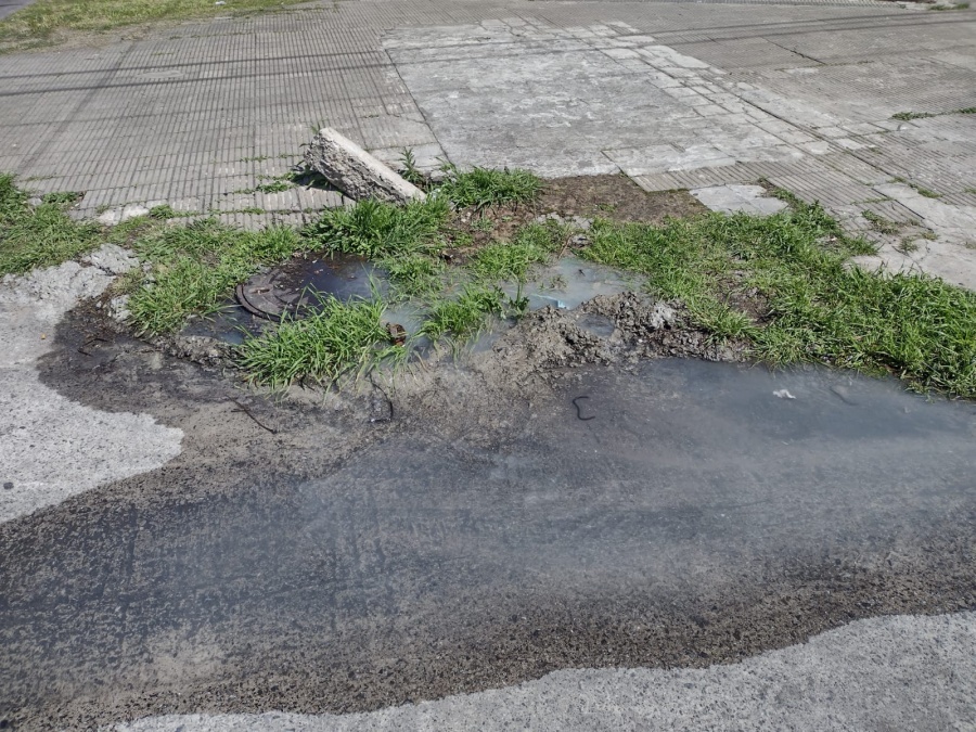 ”Es la peor vereda de La Plata”: La bronca de un vecino de La Loma