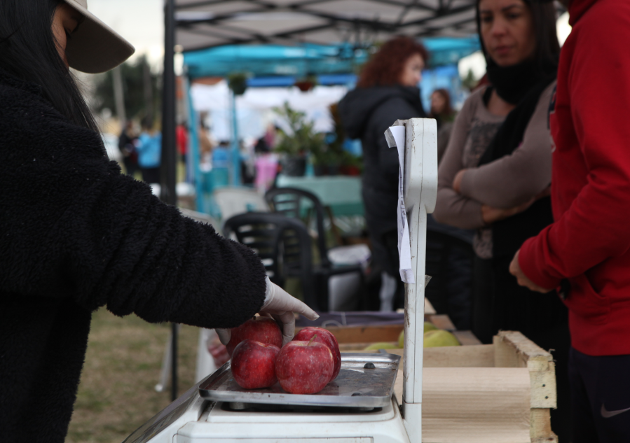 ”Nos vemos en el barrio” llega a Los Hornos con vacunación, atención odontológica, trámites, shows y stands de comidas