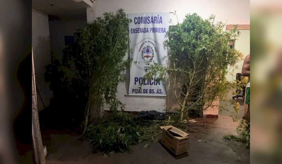 Estaba acusado de violencia de género, fueron a detenerlo a Ensenada y se le sumó una causa por drogas