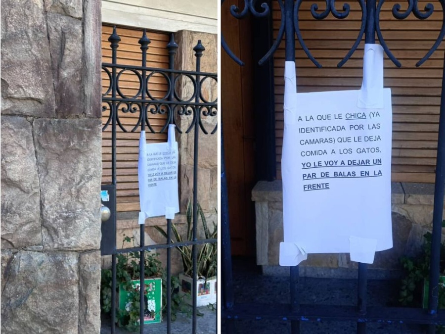 Amenazaron a una mujer para que deje de alimentar a gatos callejeros en la zona de Plaza España