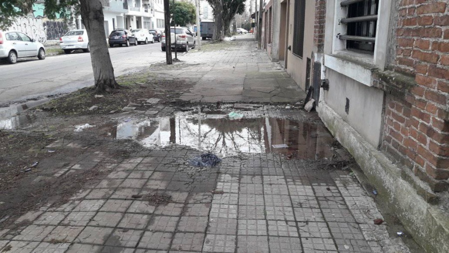 ”Hice ocho reclamos”: Una vecina de La Plata denuncia una pérdida de agua desde hace un mes