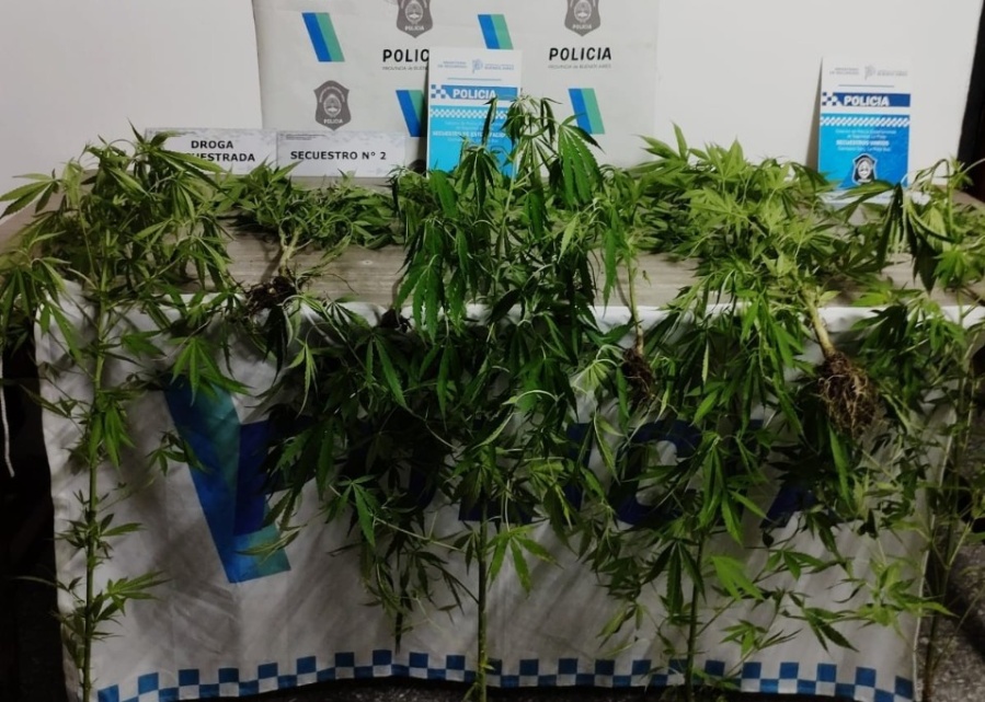 Detuvieron a dos jóvenes en 90 y 21 por abuso de armas y les incautaron plantas de marihuana