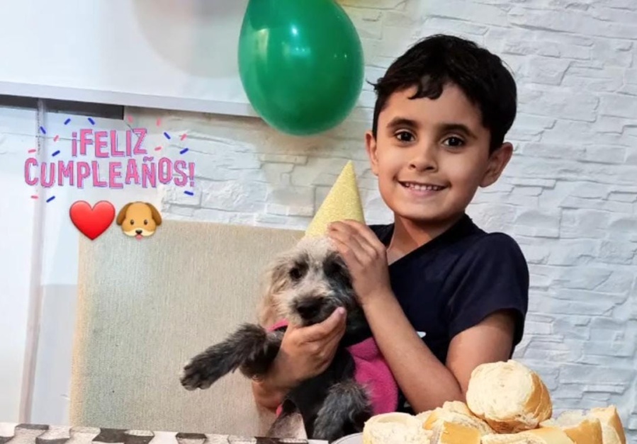 Organizó el cumpleaños de su perro ”Misterio” y enamoró a todos: ”Me encanta cuando los padres apoyan las ideas de los niños”