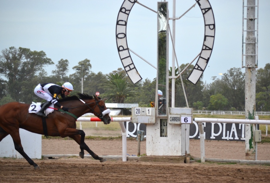 Provincia oficializó el uso de medios de pago electrónicos para apostar en las agencias e hipódromos
