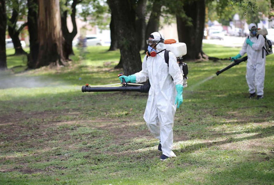 Volverá la fumigación en 26 calles del Casco Urbano de La Plata y también habrá trabajos en otras 7 localidades