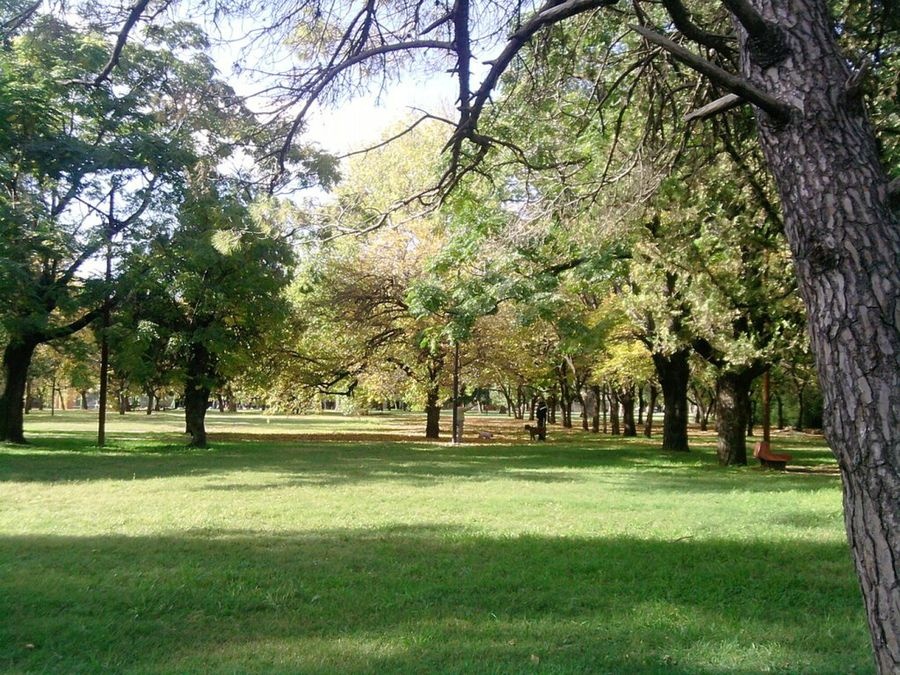 Le apuntaron con un arma para robarle todo en el Parque San Martín y huyeron