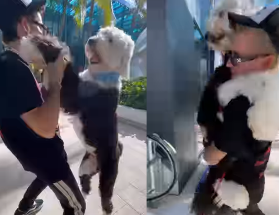 Así es el perro ”gigante” de Mau Montaner