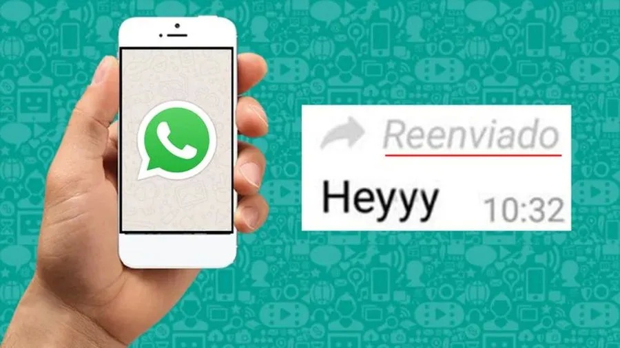 WhastApp: ¿Cómo evitar que aparezca la palabra ”Reenviado”?