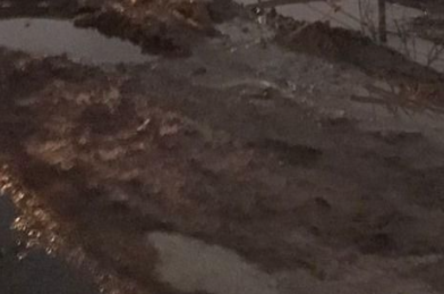 Una pérdida de agua deja a una calle de La Plata totalmente embarrada y se hace imposible su paso