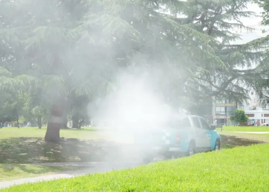 En medio de la ola de mosquitos, habrá fumigación en Los Hornos, Ringuelet, Gonnet, City Bell y sectores del Casco Urbano