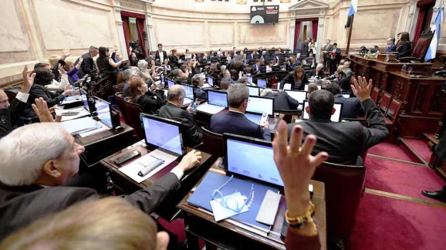El Senado ya tiene sesión para debatir los vetos a la Emergencia Pediátrica y el Financiamiento Universitario