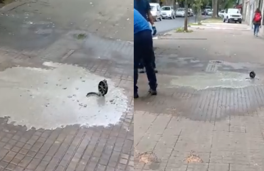 ”Cañerías tapadas de grasa”: Indignación en la zona de 14 y 63