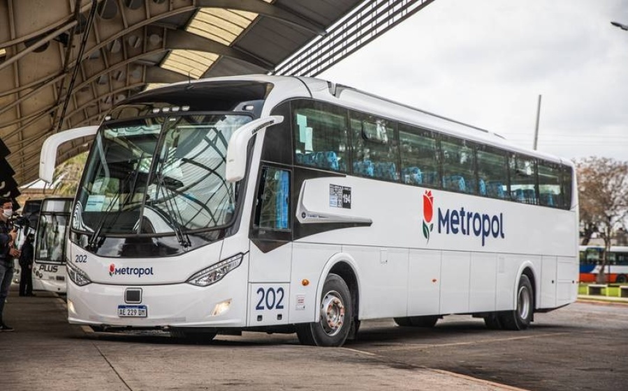 La línea 195 que circula por La Plata también adhiere al paro de la UTA y solo se podrá llegar a CABA con el Tren Roca
