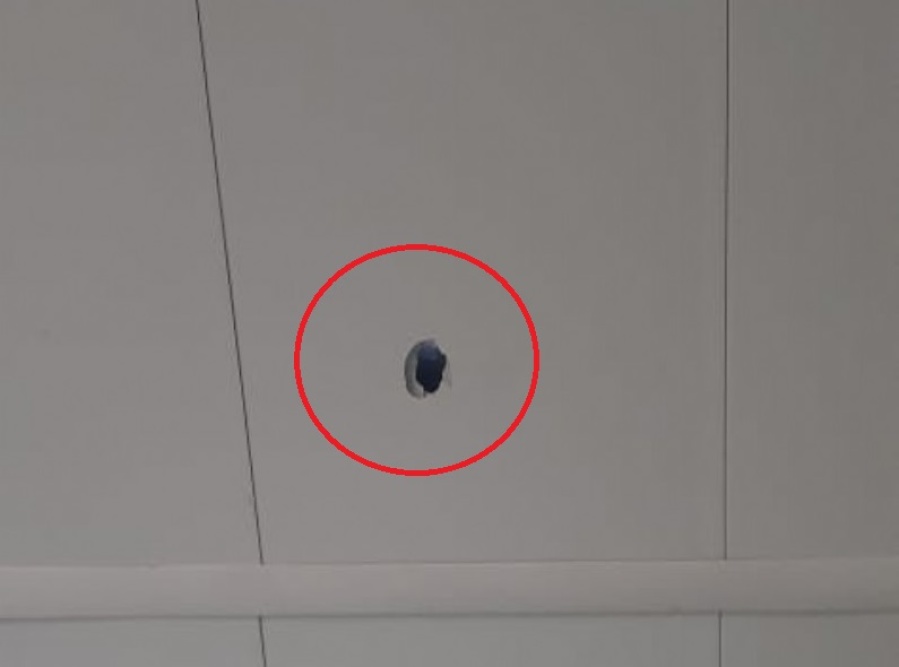 Una bala perdida casi causa una tragedia en un comercio de Berisso