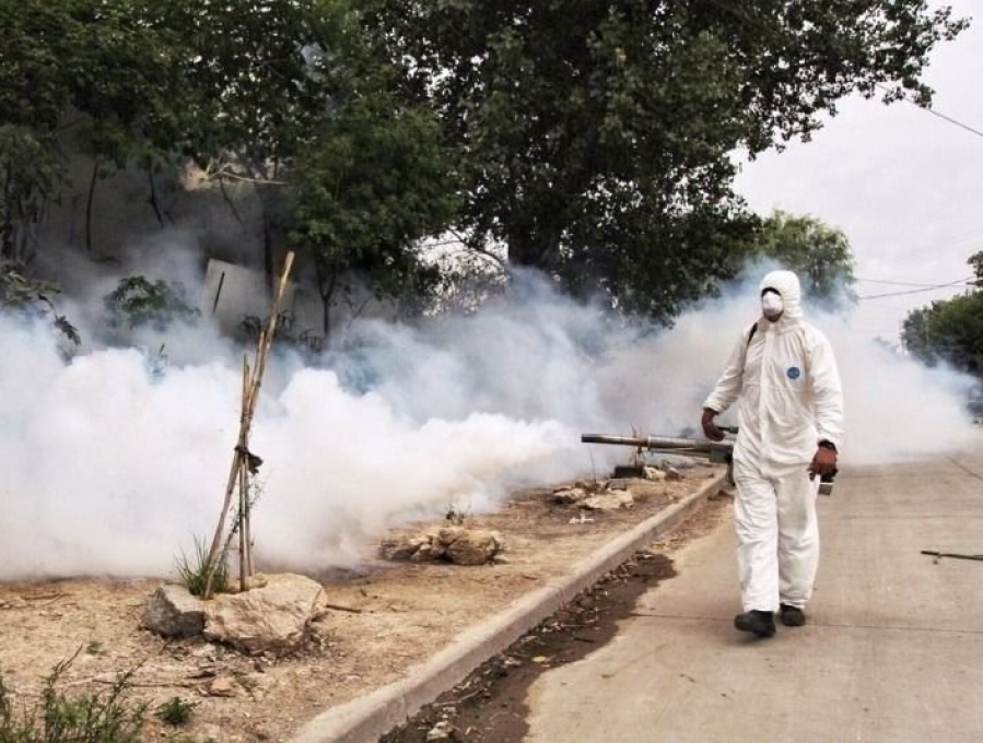 Una por una, las calles del Casco Urbano, Villa Elvira, Los Hornos, San Carlos y Melchor Romero que serán fumigadas