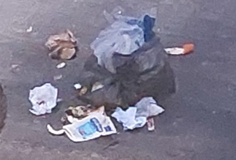 En un sector de Gonnet se quejaron por las bolsas de basura que aparecen destruidas en la calle