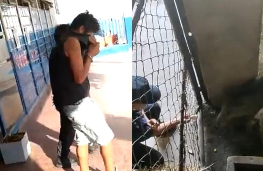 Internaron en un psiquiátrico al hombre que golpeó a un pecarí en el Bioparque de La Plata