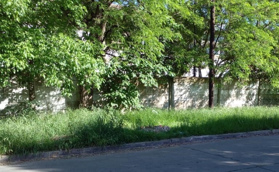 Vecinos de Los Hornos reclaman por la crecida de pastizales y la falta de luminarias: ”Estoy cansada de denunciar”