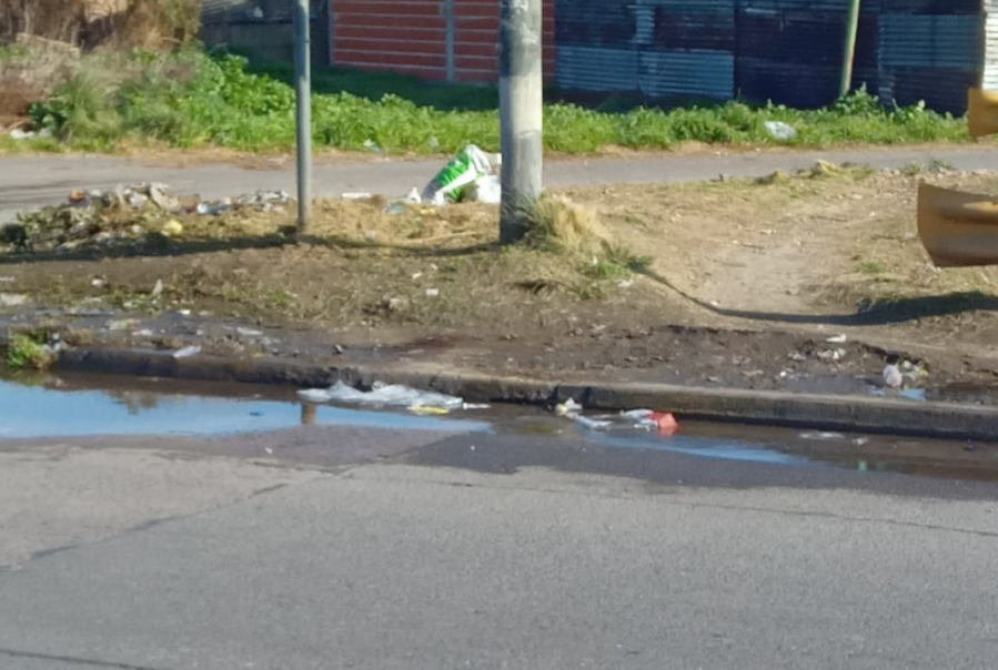 Vecinos se quejaron de que en una esquina de Los Hornos cortaron el pasto pero no levantaron la basura