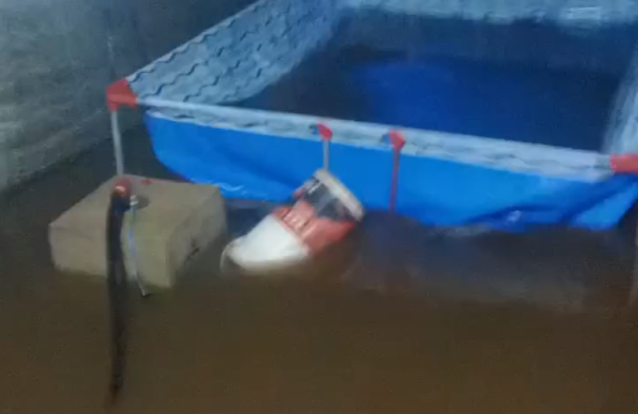 ”¡Harta!”: una vecina de Los Hornos explotó por el ingreso de agua a su vivienda y las calles rebalsadas