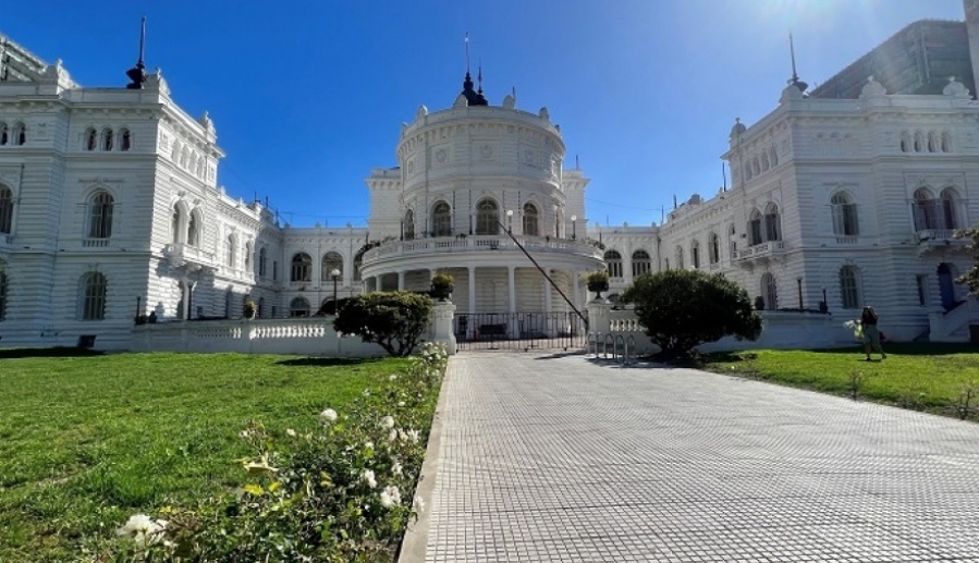 ¿Zorros en La Plata?: Volvieron a ver uno de estos animales cerca de Plaza Moreno