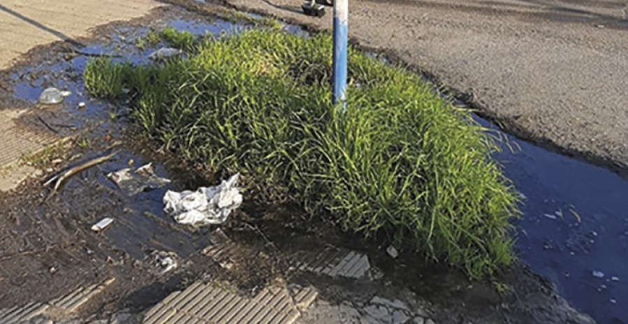Reclaman en Villa Elvira por una ”inundación” cloacal en la zona de 10 y 76