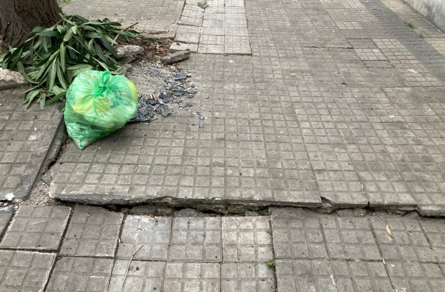 Vecinos de La Plata piden arreglen las veredas: ”No se puede ni caminar”