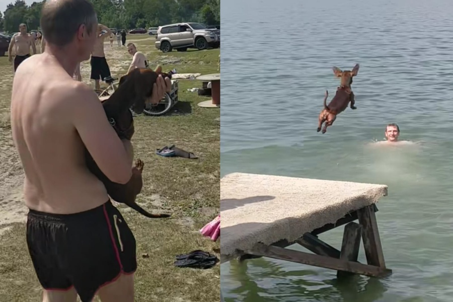 Un perrito salchicha y el peculiar llanto desconsolado que tiene cada vez que se tira al agua con su dueño