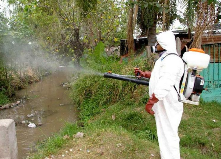 31 calles del Casco Urbano de La Plata serán fumigadas este martes y también llegará a Altos de San Lorenzo y Villa Elvira