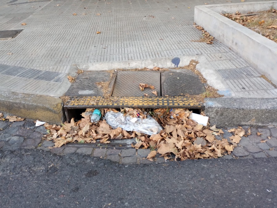 Vecinos de 13 y 45 reclamaron por la limpieza de un sumidero que se encuentra cubierto de hojas y basura