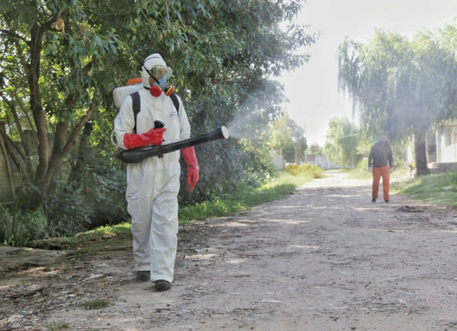 Provincia buscará contar con la vacuna contra el dengue para el 2025