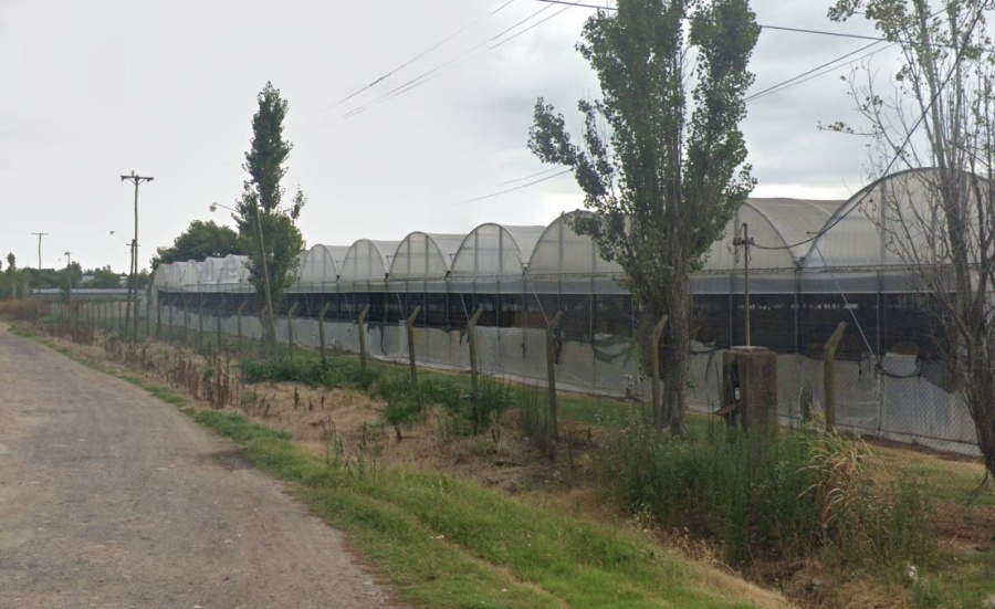 Un nene de dos años fue hallado muerto en una plantación de berenjenas en Arturo Seguí