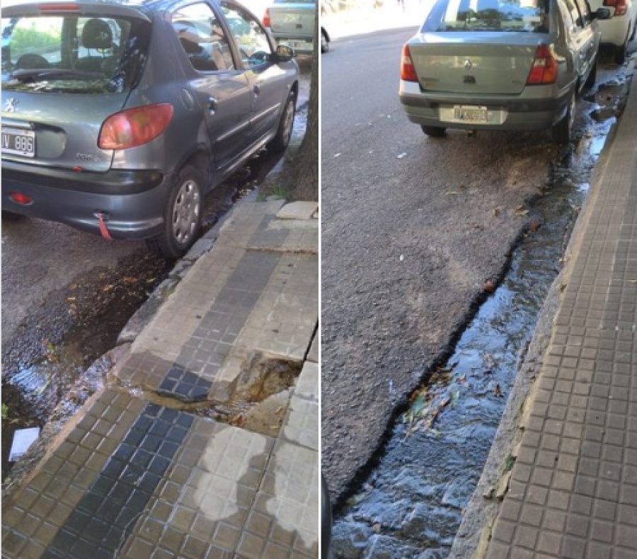 ”Miles de litros perdiéndose”: La bronca de un vecino de La Plata