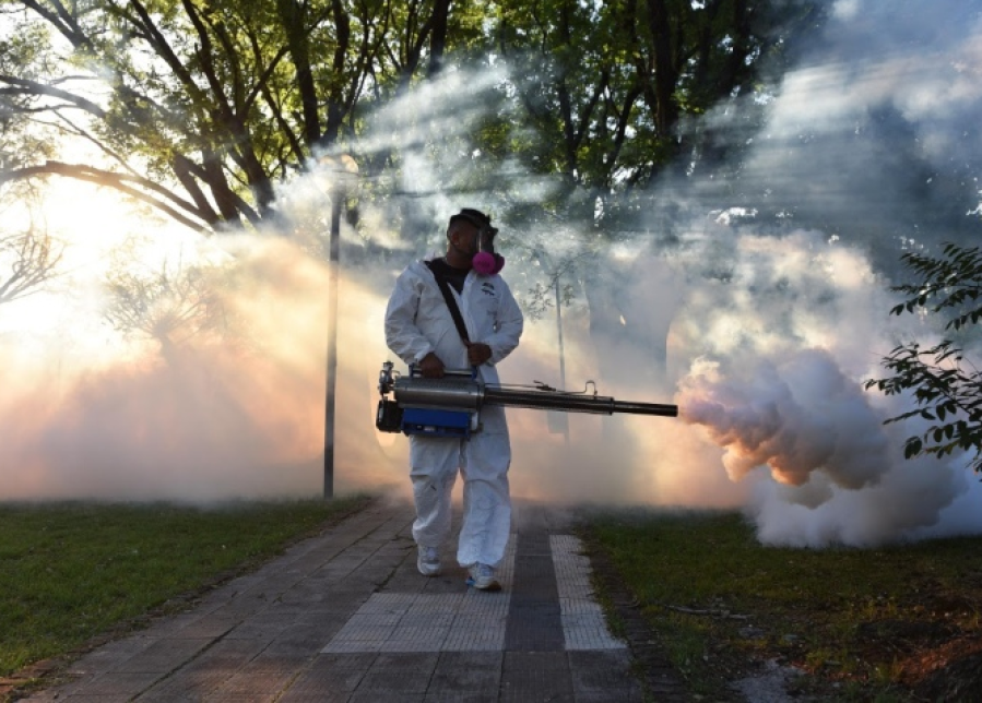 En San Carlos, Villa Elvira, Romero, Olmos y el Casco Urbano, así será el operativo de fumigación durante este jueves