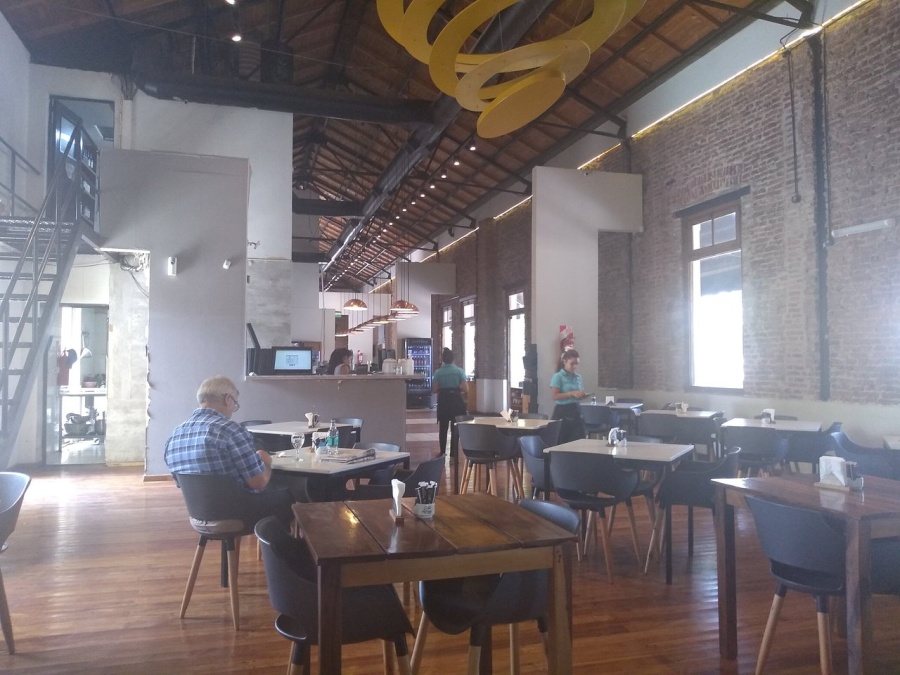 Hay ratas en el restaurante de Plaza Islas Malvinas: ”Mataron una en el baño y otra se metió en la cocina”