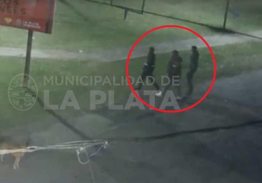 Así fue el robo completo de cables que causó indignación en la plaza La Emilia de City Bell: actuaron cuatro sujetos