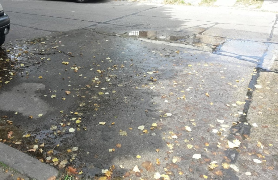 ”Cuatro meses reclamando y nada”: Vecinos de 12 y 61 denuncian una pérdida de agua