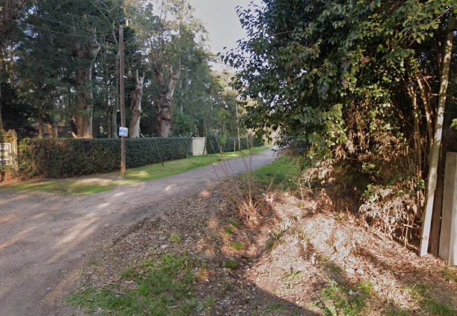 Euros, dólares y pesos: le robaron a una británica en La Plata cuando estaba trabajando