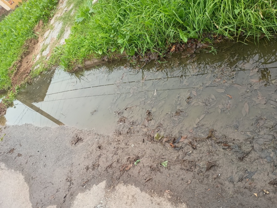 En un sector de Los Hornos se quejaron por desechos cloacales que ya llevan tres meses: ”Es inhumano vivir así”