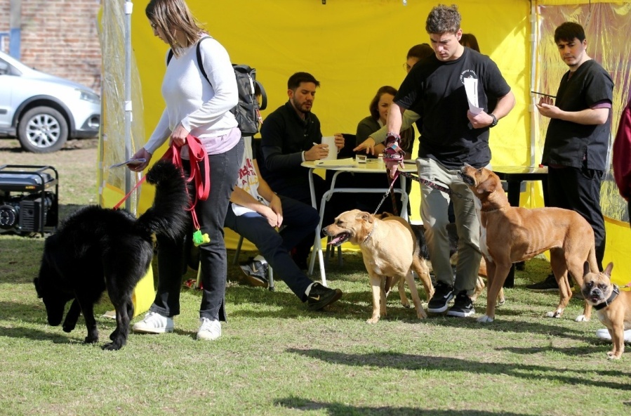 El programa ”Barrio x Barrio” estará en Los Hornos y colocará la vacuna antirrábica a todas las mascotas de forma gratuita