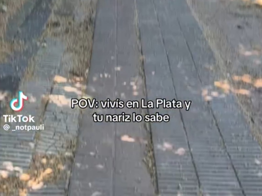 Una joven reveló el lado B de la ciudad durante la primavera: “Vivís en La Plata y tu nariz lo sabe”