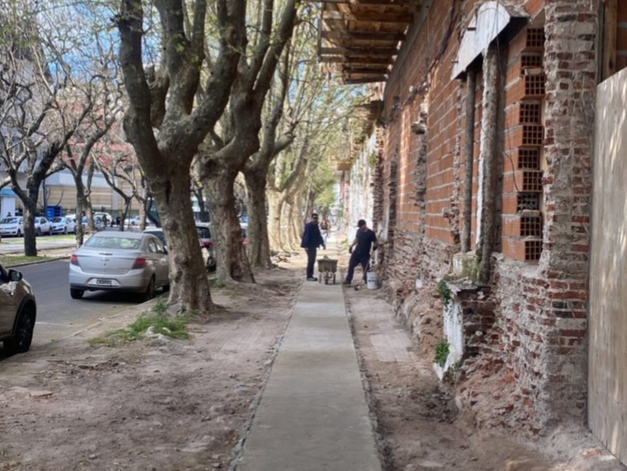 Un platense mostró el antes y después de una vereda y sorprendió en redes: “Qué momento para estar vivo”