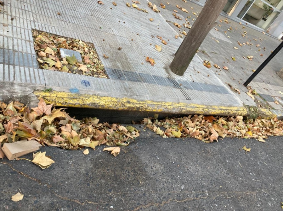 Vecinos de Plaza Paso le piden al Municipio que limpie las bocas de tormenta