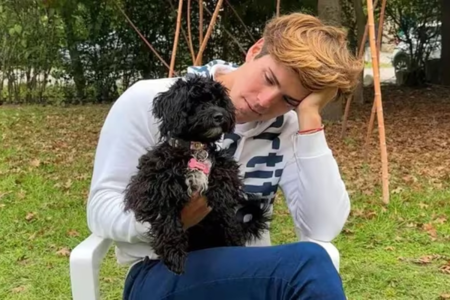 Una super torta y mucho amor: Marcos Ginocchio festejó el primer año de Morita, la perra que adoptó después de Gran Hermano