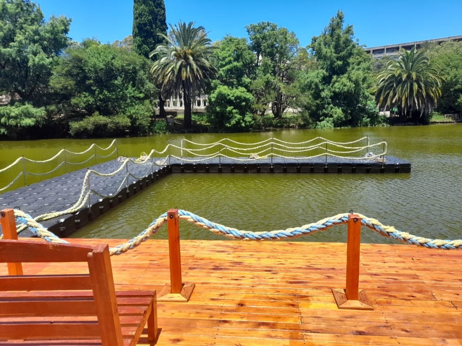 El Paseo del Bosque de otro nivel: se renovó el muelle para que todos los platenses y turistas lo puedan disfrutar