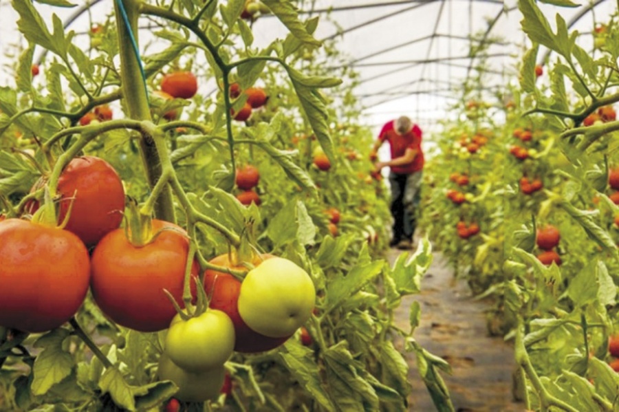 El ministerio de Desarrollo Agrario financió 186 proyectos durante el 2022 por un total de 339 millones de pesos