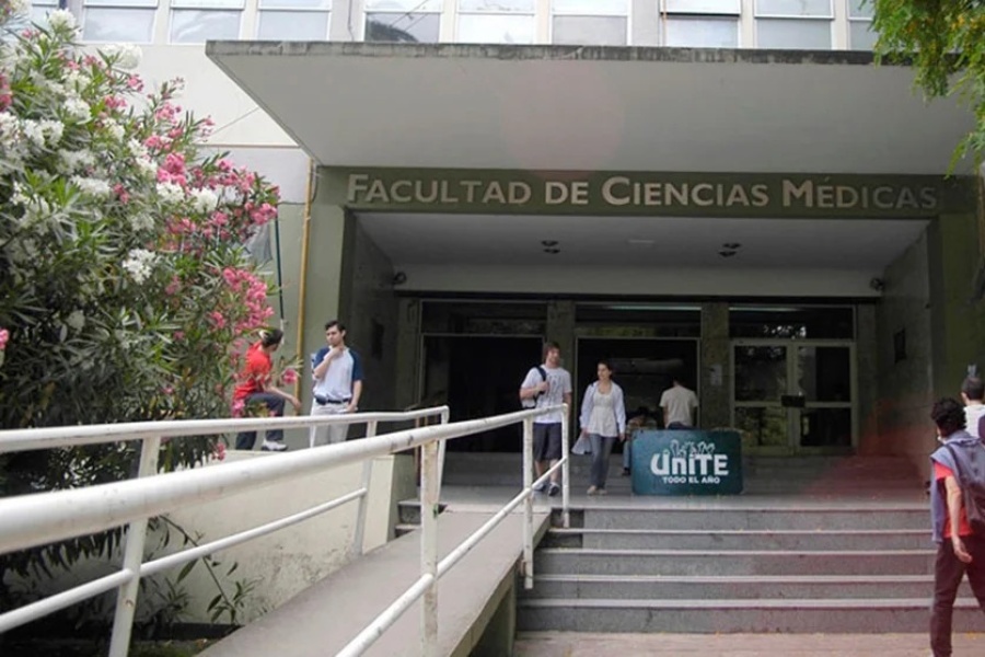 ”Los brasileros le ponen cero onda”: una alumna de la UNLP se metió en una polémica viral sobre sus dificultades para aprobar